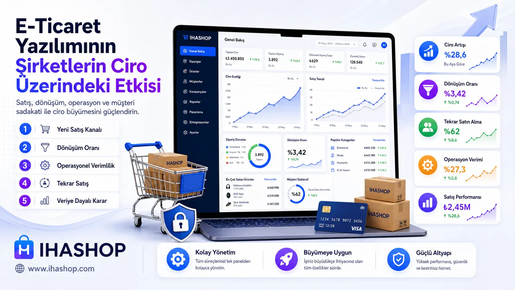 E-Ticaret Yazılımının Şirket Cirosuna Etkisi